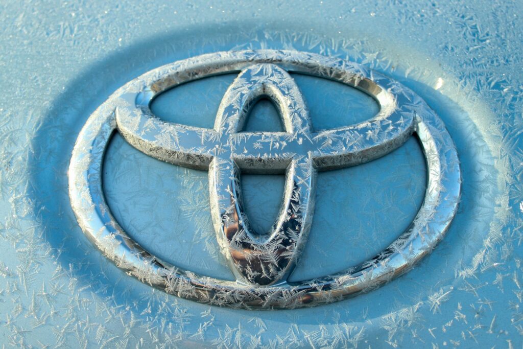 Toyota Emblem in Frost